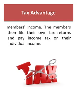 limited liability company  LLC screenshot 3