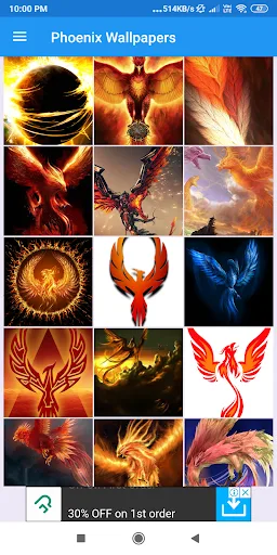 Phoenix HD Wallpapers screenshot 8