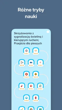 Super Prawo Jazdy Tests screenshot 6