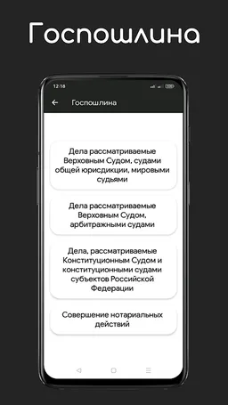 Калькулятор госпошлины screenshot 1