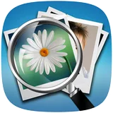 Reverse Image Search icon