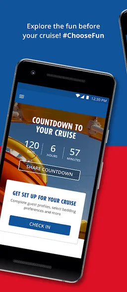 Carnival HUB screenshot 7