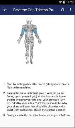 3-Move for For Bigger Triceps screenshot 1