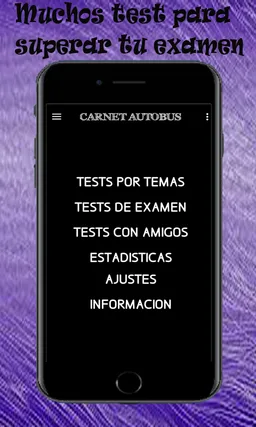 Test para el carnet de autobus ,permiso D screenshot 6