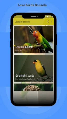 Lovebird Sounds screenshot 4
