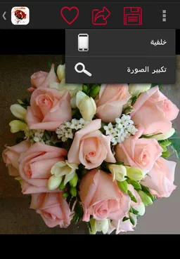 صور و باقات ورد رائعة screenshot 3