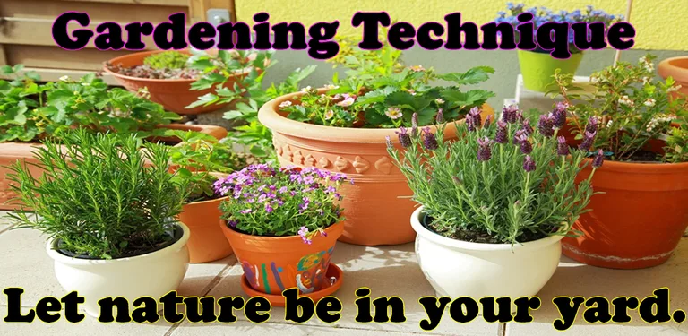 Gardening Techniques cover image