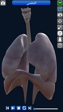 Anatomy 3D screenshot 9