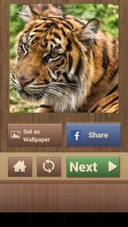 Puzzle Games screenshot 16