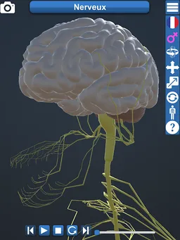 Anatomy 3D screenshot 5