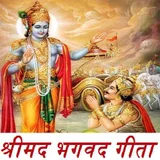 श्रीमद भगवद गीता सार हिंदी - S icon