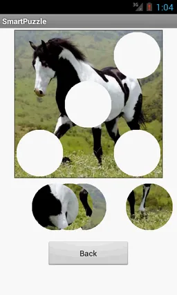 Smart Puzzle screenshot 5