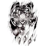 Amazing Tatoo Designs Ideas icon