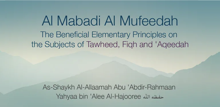 Al-Mabaadi-ul-Mufeedah cover image