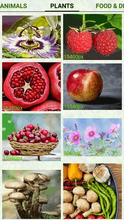 Clover Pixel Coloring screenshot 6