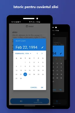 DEX - dictionar roman screenshot 5