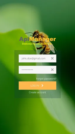 ApiManager screenshot 1