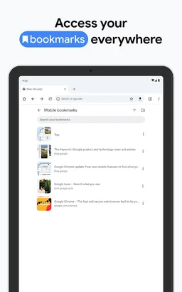 Google Chrome screenshot 24