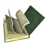 Quran (English - French) icon