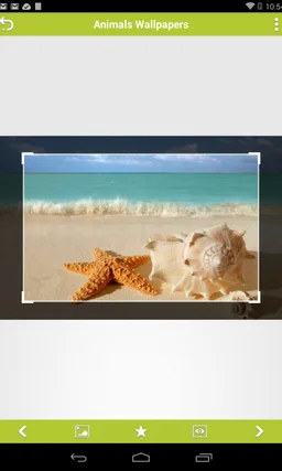 Animals Wallpapers screenshot 5