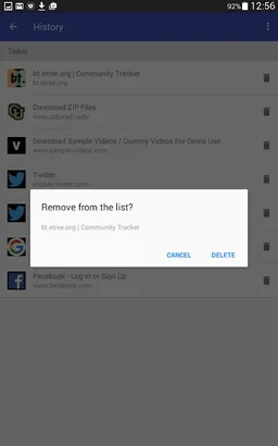 Citrio Browser screenshot 8