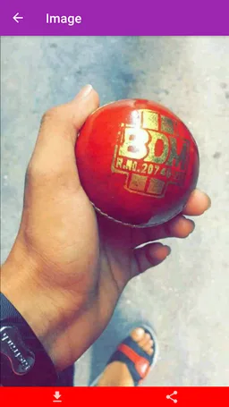 Status Download screenshot 3