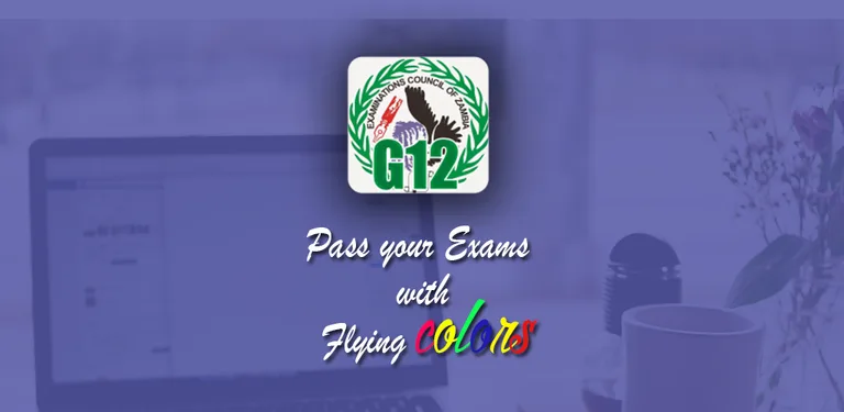 G12 ECZ Past Papers cover image