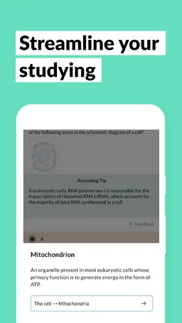 AMBOSS Qbank for Medical Exams screenshot 7