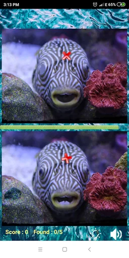 Find the differences: Sea Creatures screenshot 8