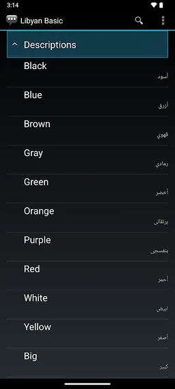Libyan Basic Phrases screenshot 8