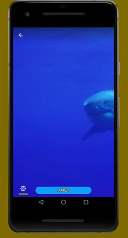 White Shark Video Wallpaper screenshot 2