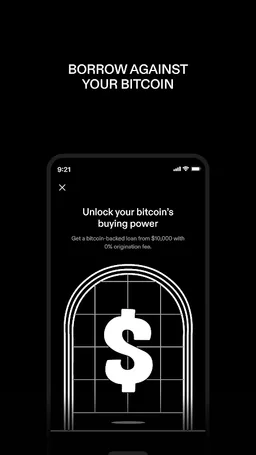 STRIKE: BUY & HOLD BITCOIN screenshot 5