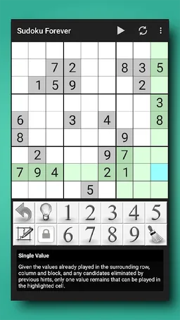 Sudoku Forever screenshot 1