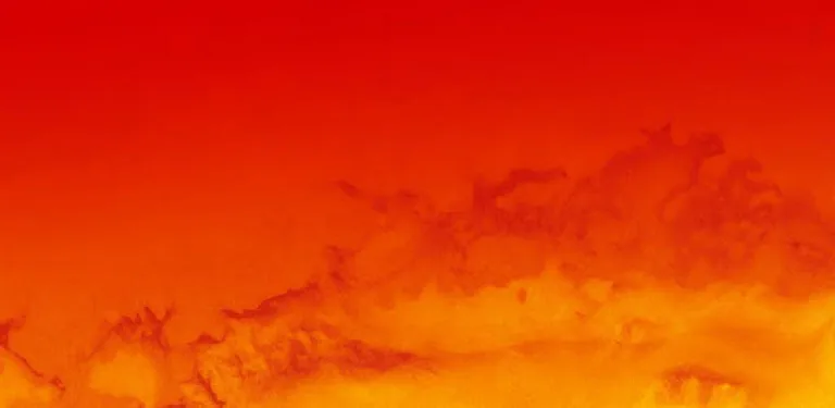 Momo Jumper cover image