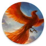 Finixapp - Chat, Share & Meet icon