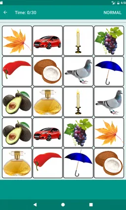 Memory Match screenshot 27