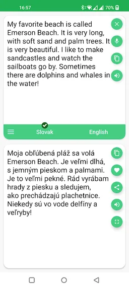 Slovak - English Translator screenshot 4