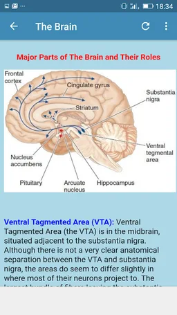 Drug Addiction screenshot 1