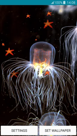 Live Wallpapers - Jellyfish screenshot 5