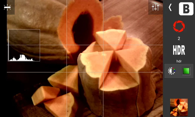 Snail Camera Pro screenshot 7