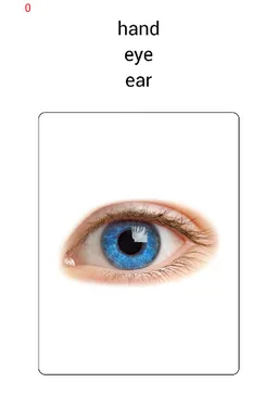 Learn and play English words screenshot 11