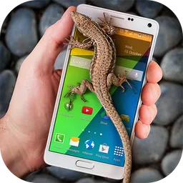 Lizard in phone funny joke icon
