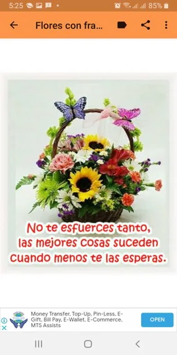 Ramos de flores hermosos screenshot 7