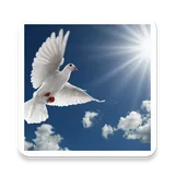 Litany of the Holy Spirit icon