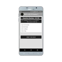TOEFL & IELTS Vocabulary Practice Test screenshot 6