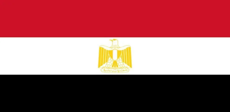 Learn Egyptian cover image