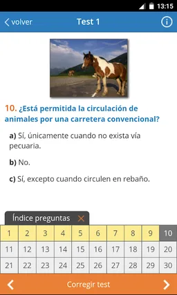 TodoTest: Test de conducir screenshot 1