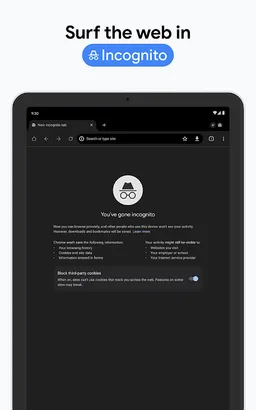 Google Chrome screenshot 29