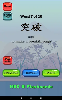 HSK 6 Chinese Flashcards screenshot 11