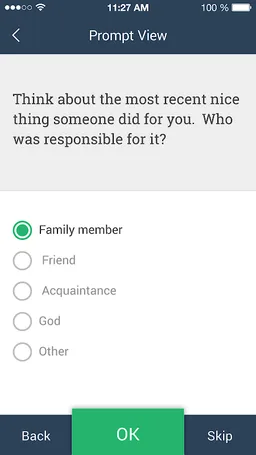 RealLife Exp screenshot 3